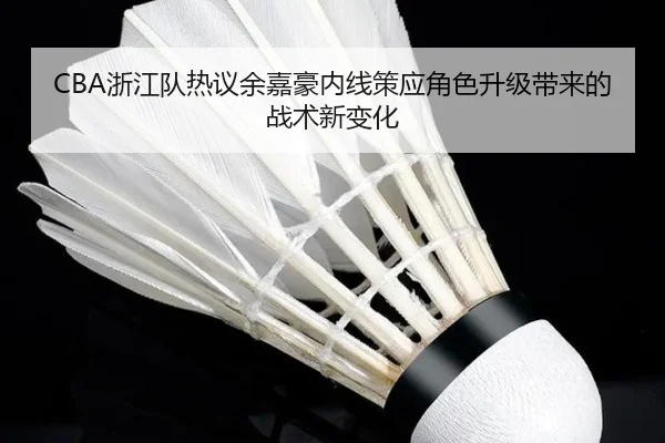CBA浙江队热议余嘉豪内线策应角色升级带来的战术新变化
