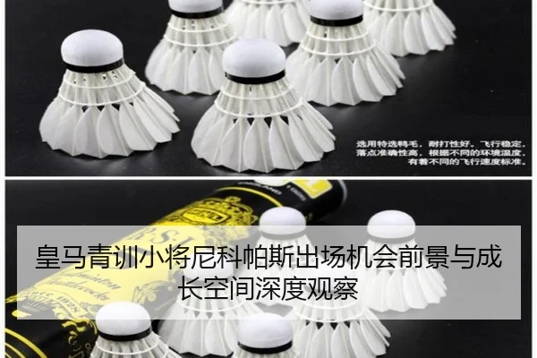 皇马青训小将尼科帕斯出场机会前景与成长空间深度观察